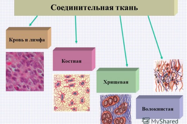 Ссылка на кракен