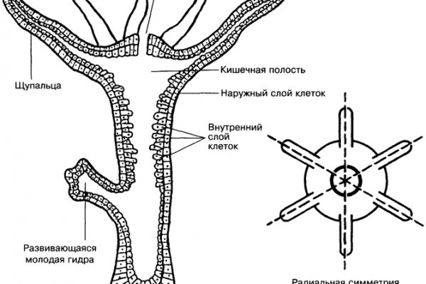 Кракен ссылка что это