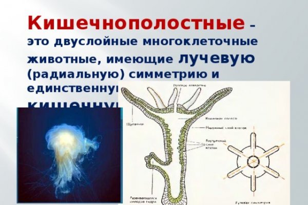 Как войти в кракен
