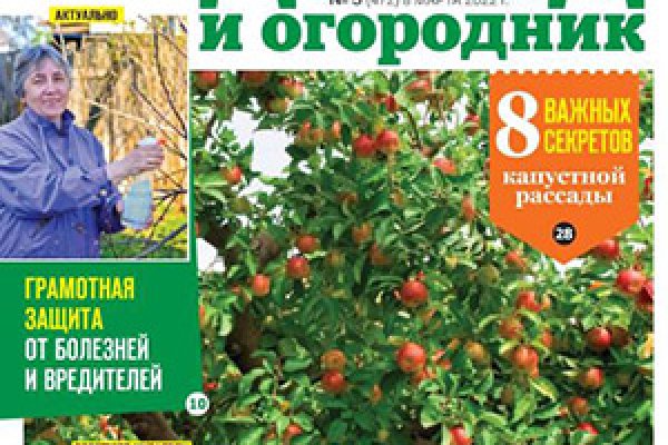 Как найти официальный сайт кракен