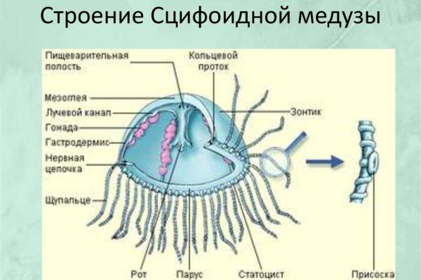 Кракен маркетплейс скачать