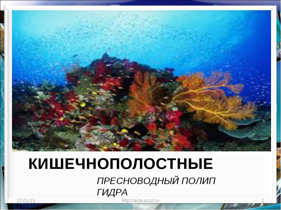 Кракен сайт сегодня